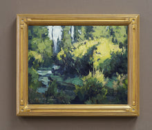 Load image into Gallery viewer, Tucson Gold Mini